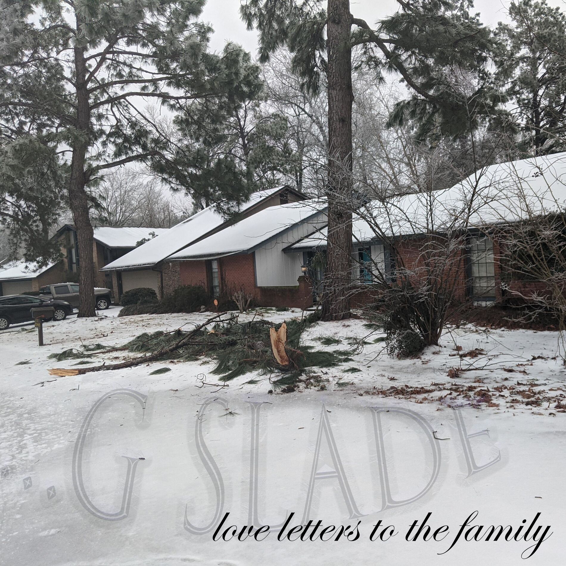 Album cover of Love Letters to the Family