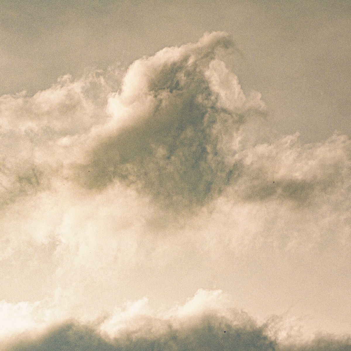 Album cover of wasurerumaeni