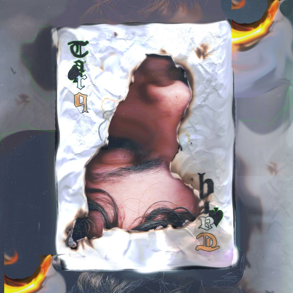 Picture of Made Of Plastic / Missy Misschief