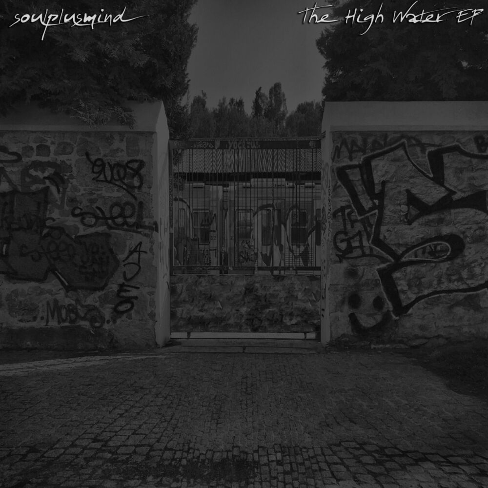 Picture of The High Water - EP
