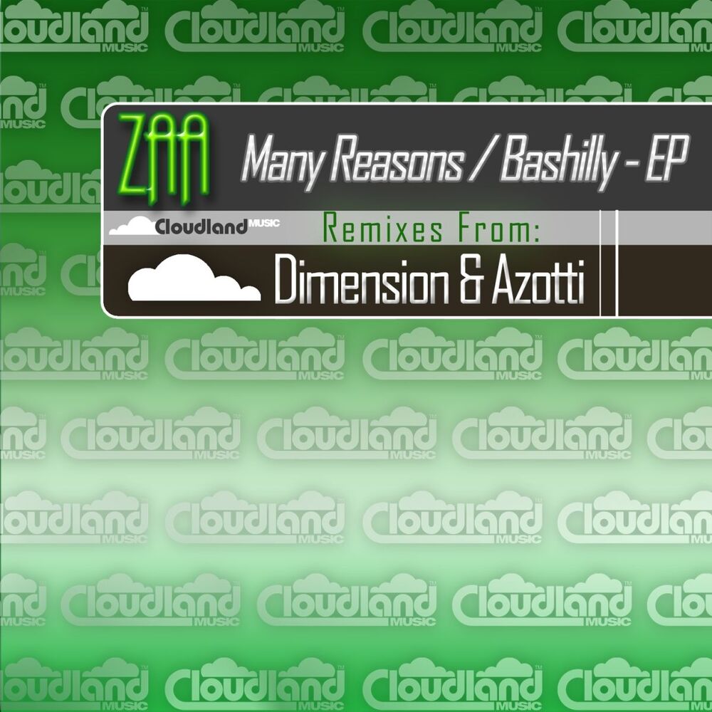 Picture of Many Reasons / Bashilly EP