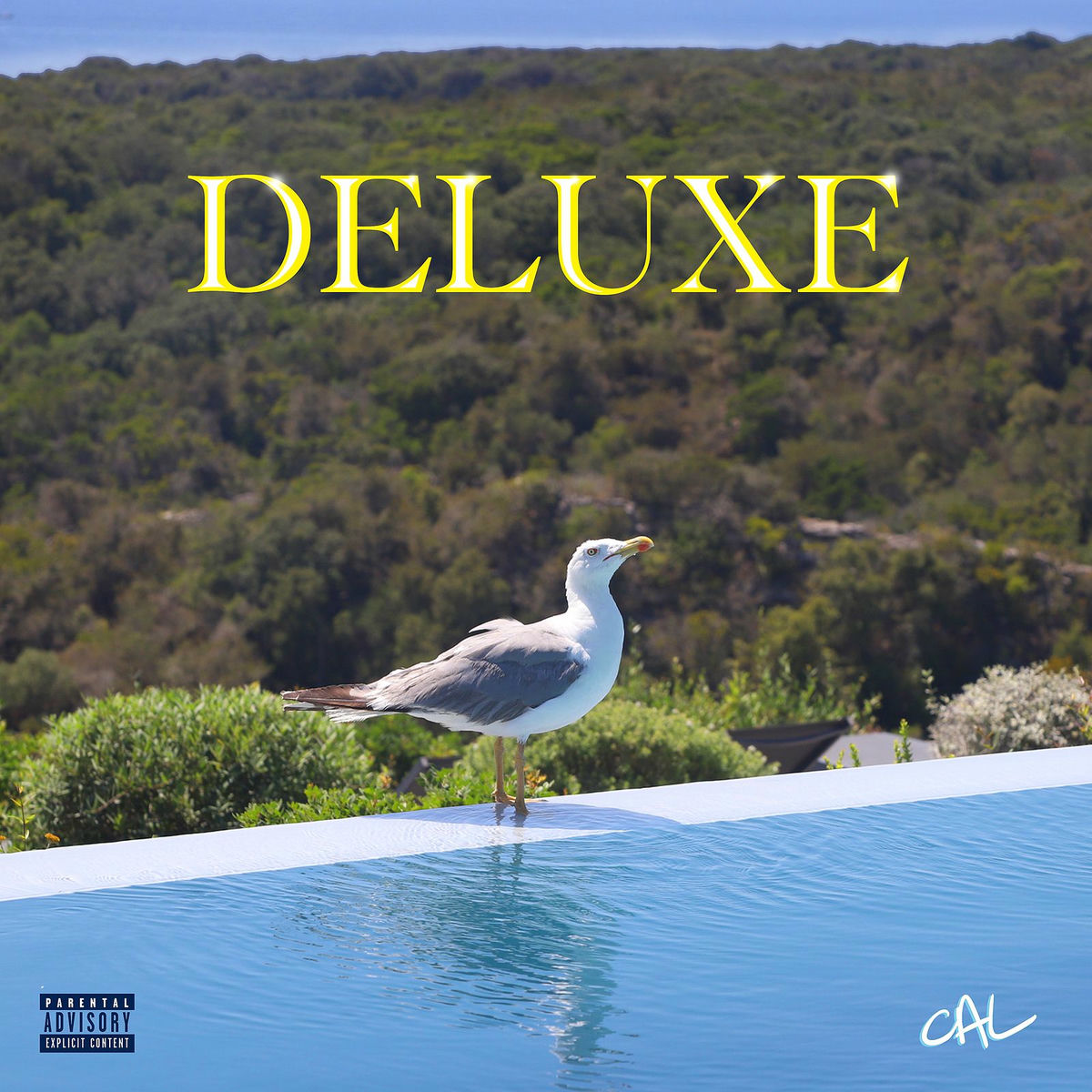 Album cover of Deluxe