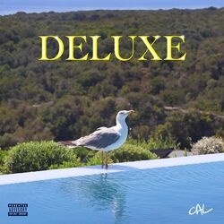 Deluxe