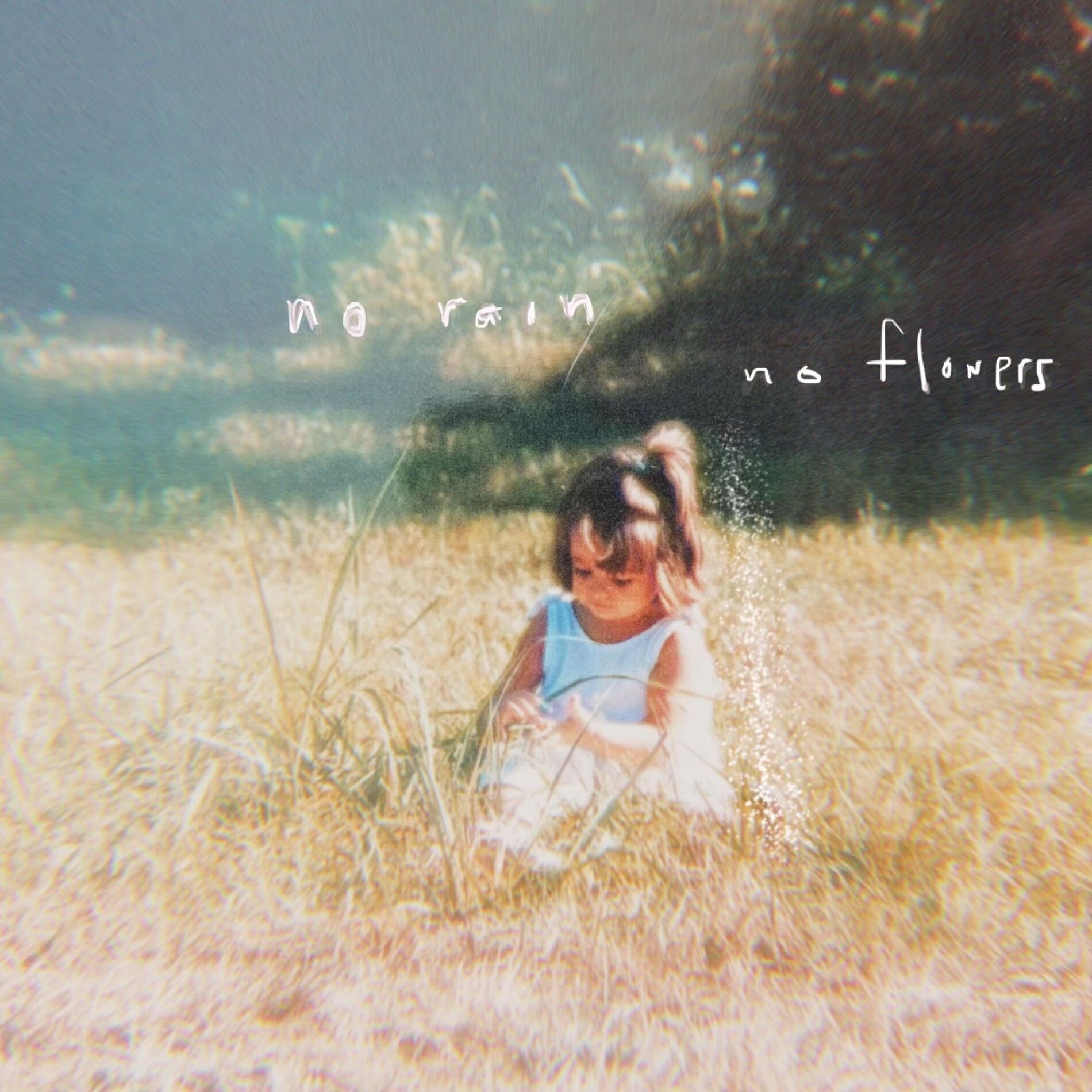 Album cover of No Rain, No Flowers