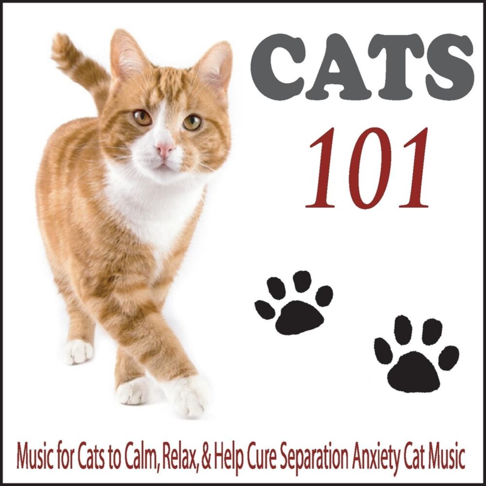 Picture of Cats 101: Music for Cats to Calm, Relax, & Help Cure Separation Anxiety Cat Music