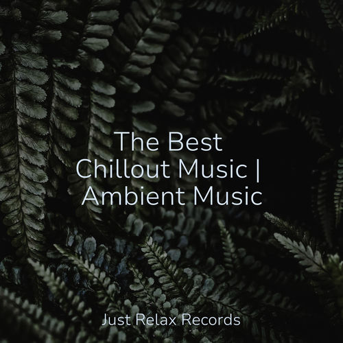 The Best Chillout Music | Ambient Music