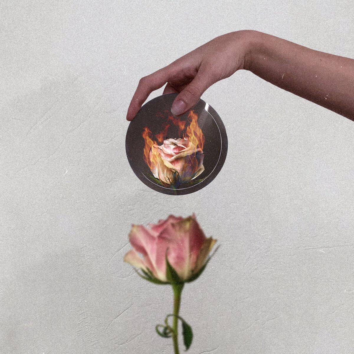 Album cover of Stolen Youth