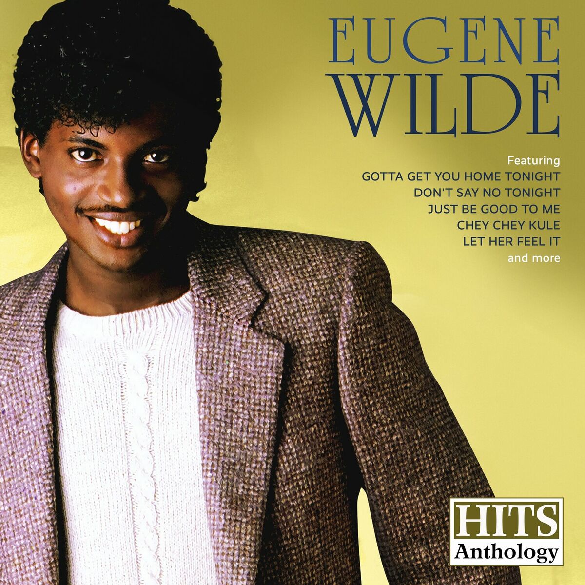 Album cover of Hits Anthology
