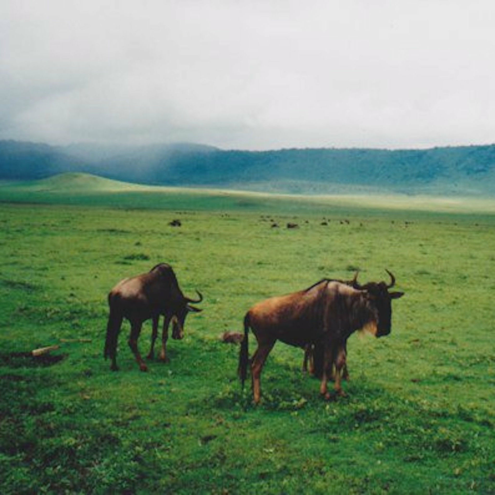 Album cover of Episode I