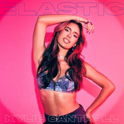 Cover of Elastic