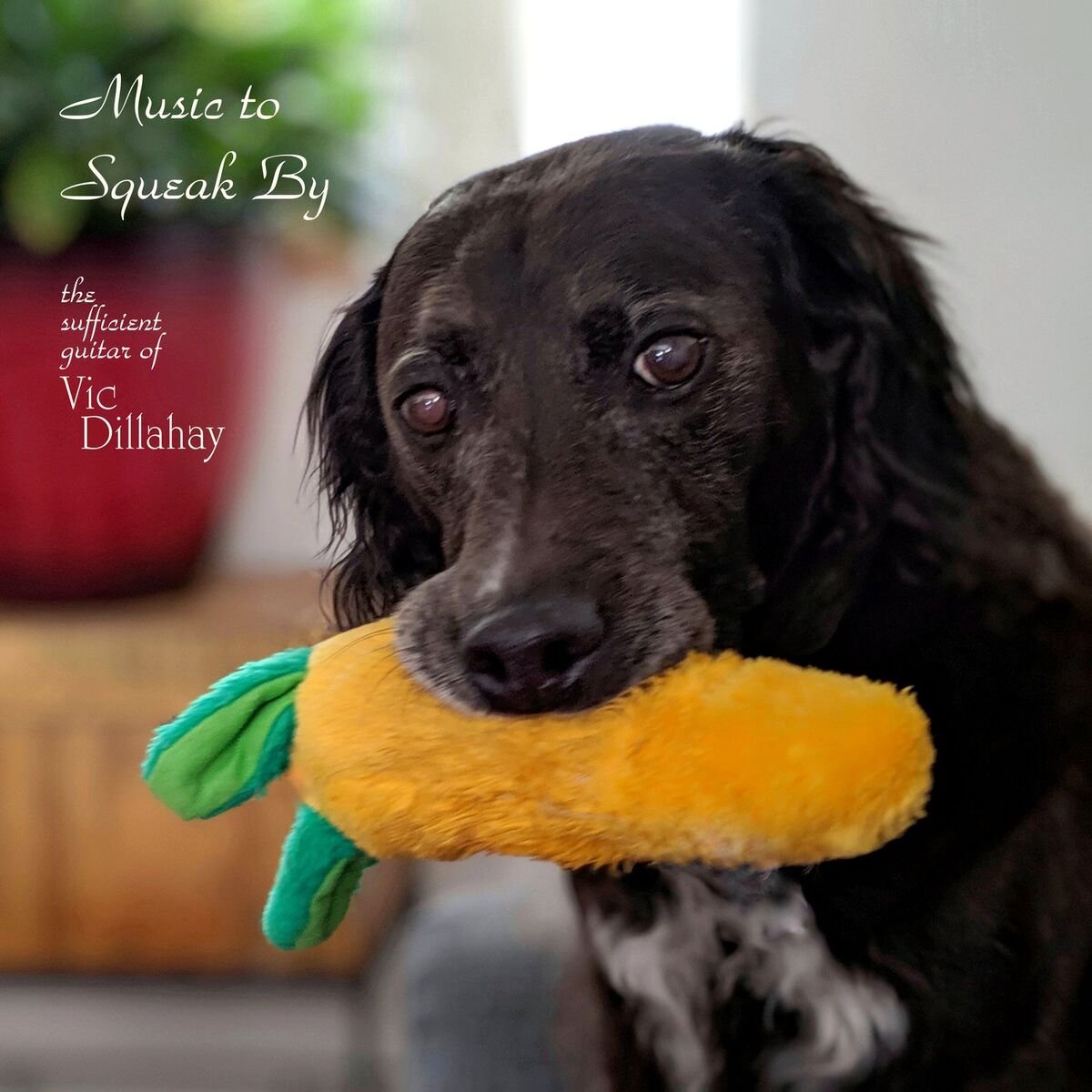 Album cover of Grin