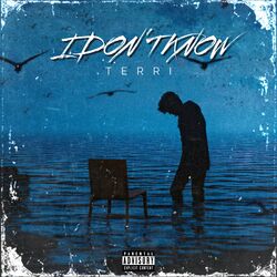 Cover of I Don't Know