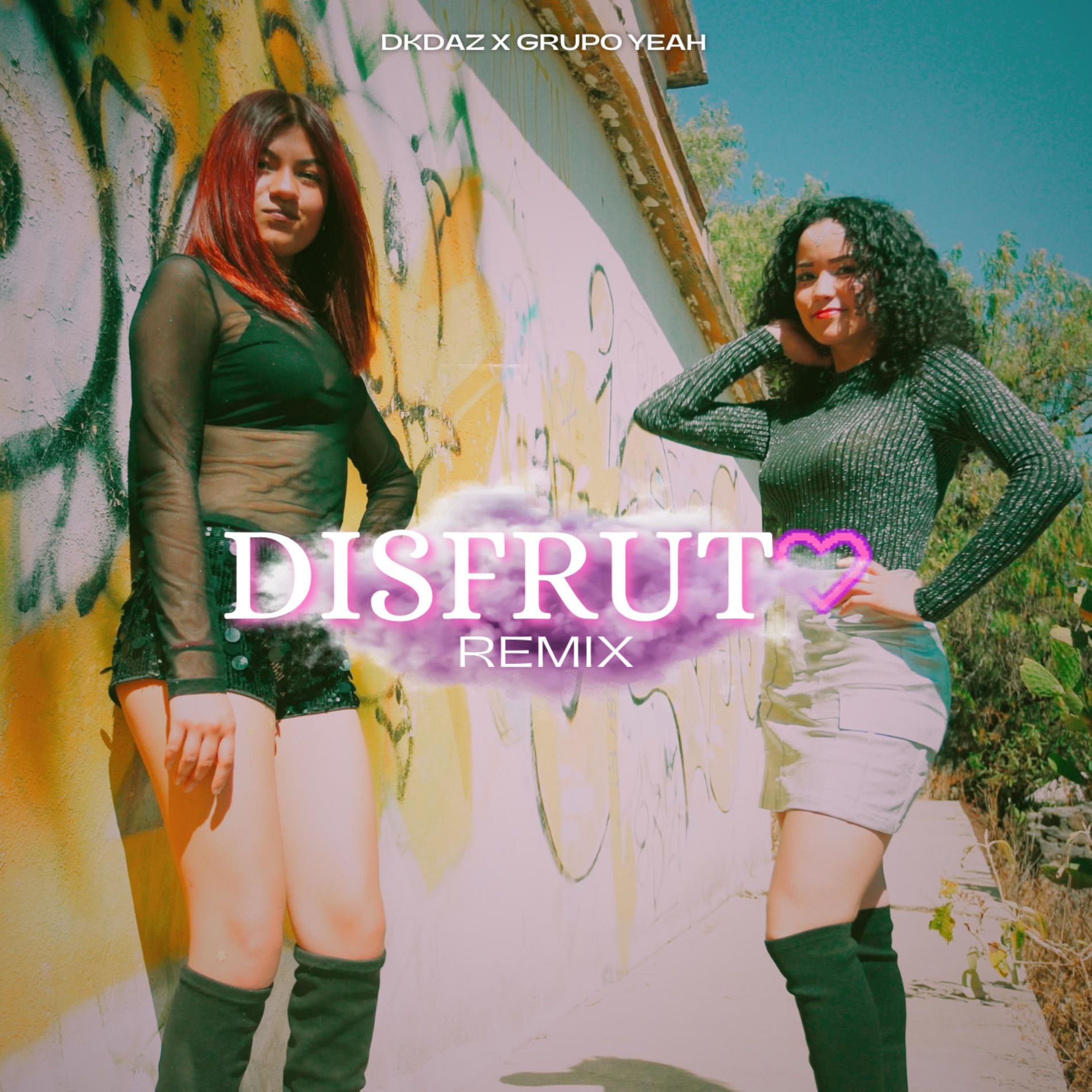 Album cover of Disfruto