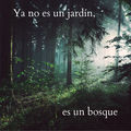 ya no es un jard&iacute;n, es un bosque