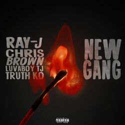 Cover of New Gang