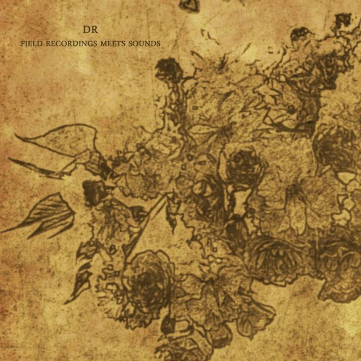 Album cover of Field Recording Meets Sounds
