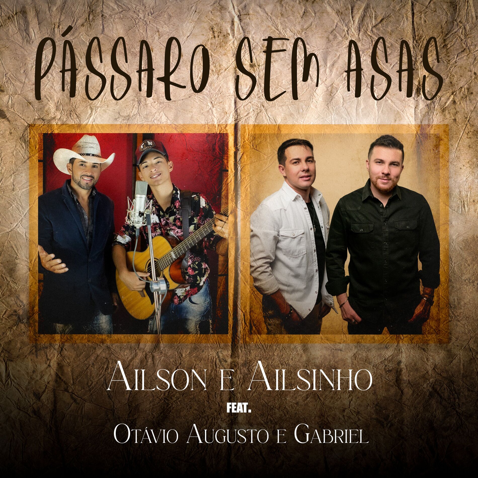 Album cover of Pássaro Sem Asas