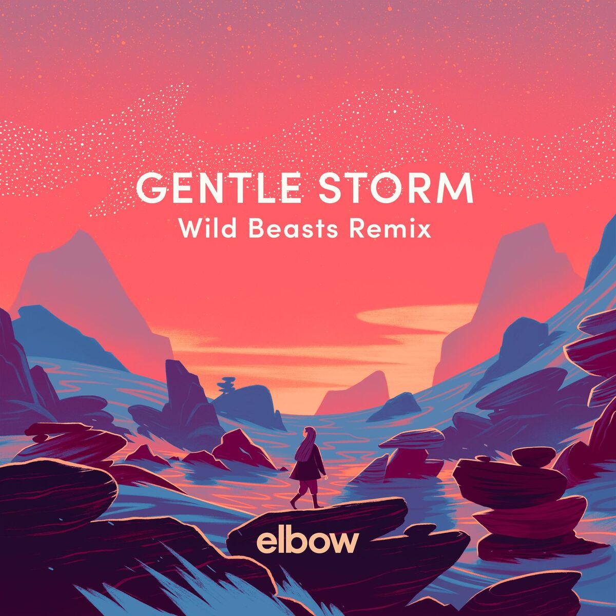 Album cover of Gentle Storm (Wild Beasts Remix)