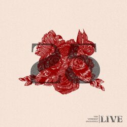 Cover of The Worship Initiative, Vol. 25 (Live)