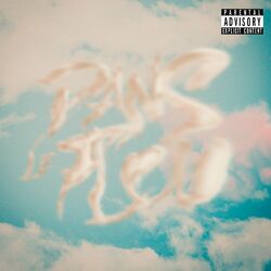 Cover of Dans le flou