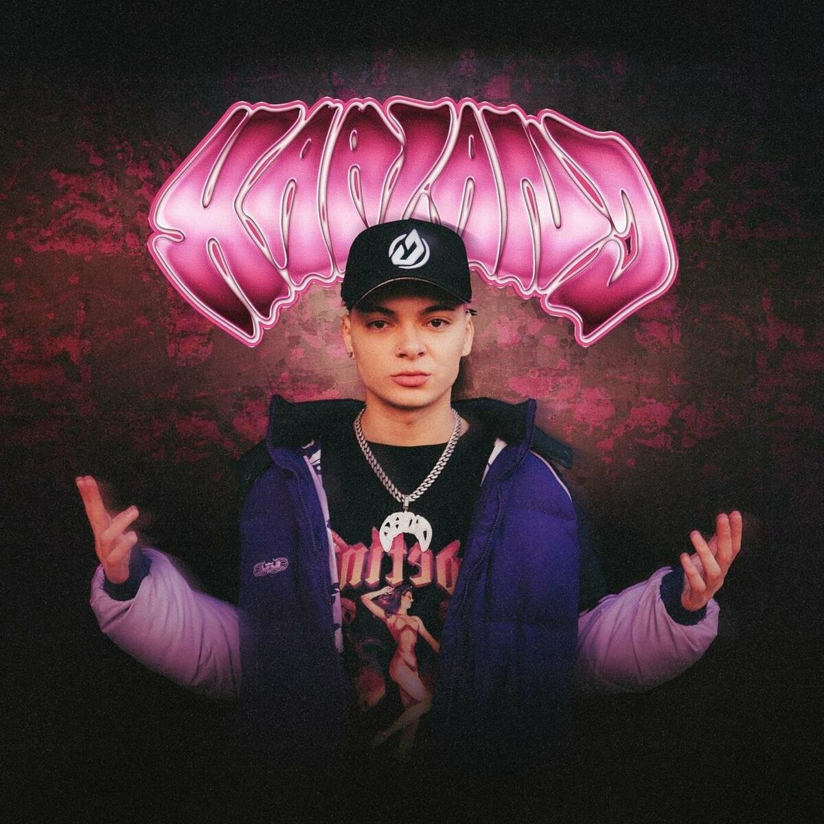 Album cover of Haaland