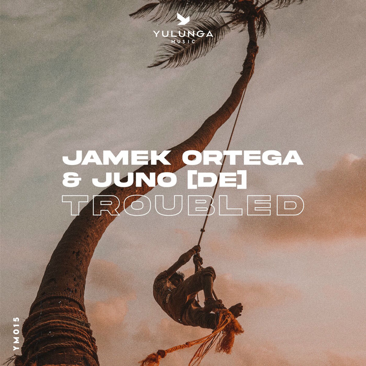 Album cover of Troubled