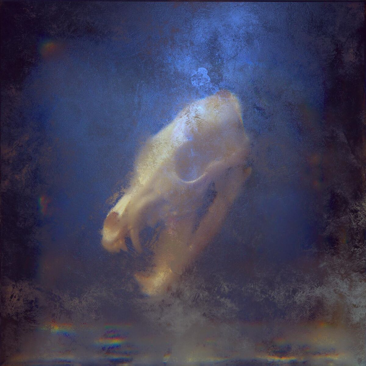 Album cover of Before The Storm