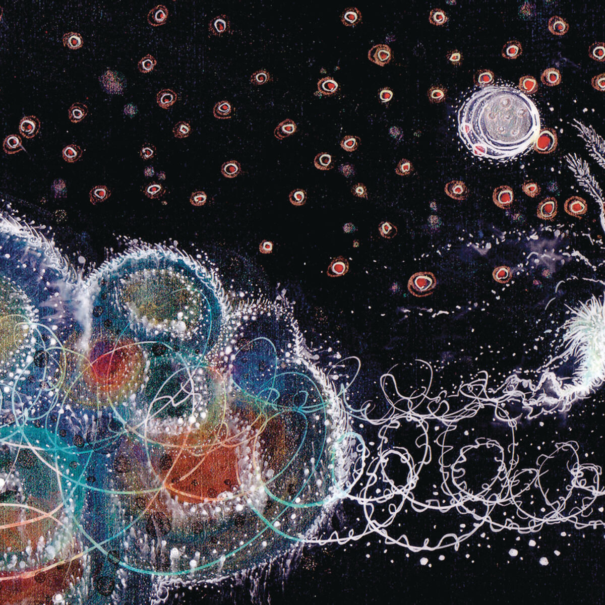 Album cover of Songs in the Night