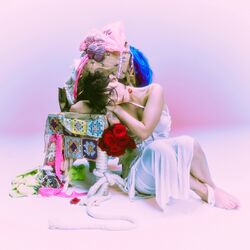 Cover of Everything I'm Not