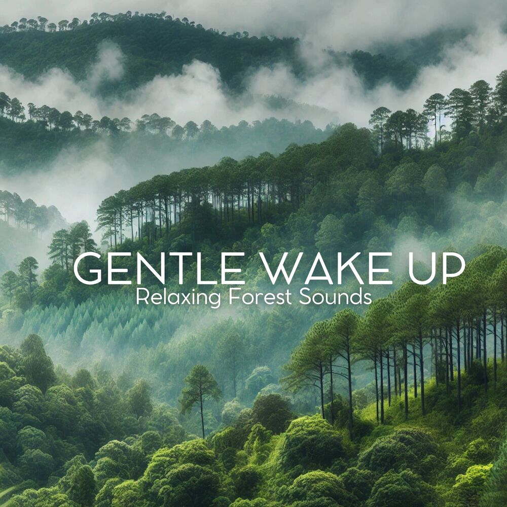 Picture of Gentle Wake Up: Relaxing Forest Sounds