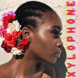 Cover of Xylophone