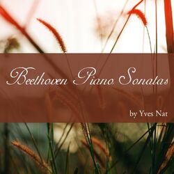 Cover of Beethoven: Piano Sonatas