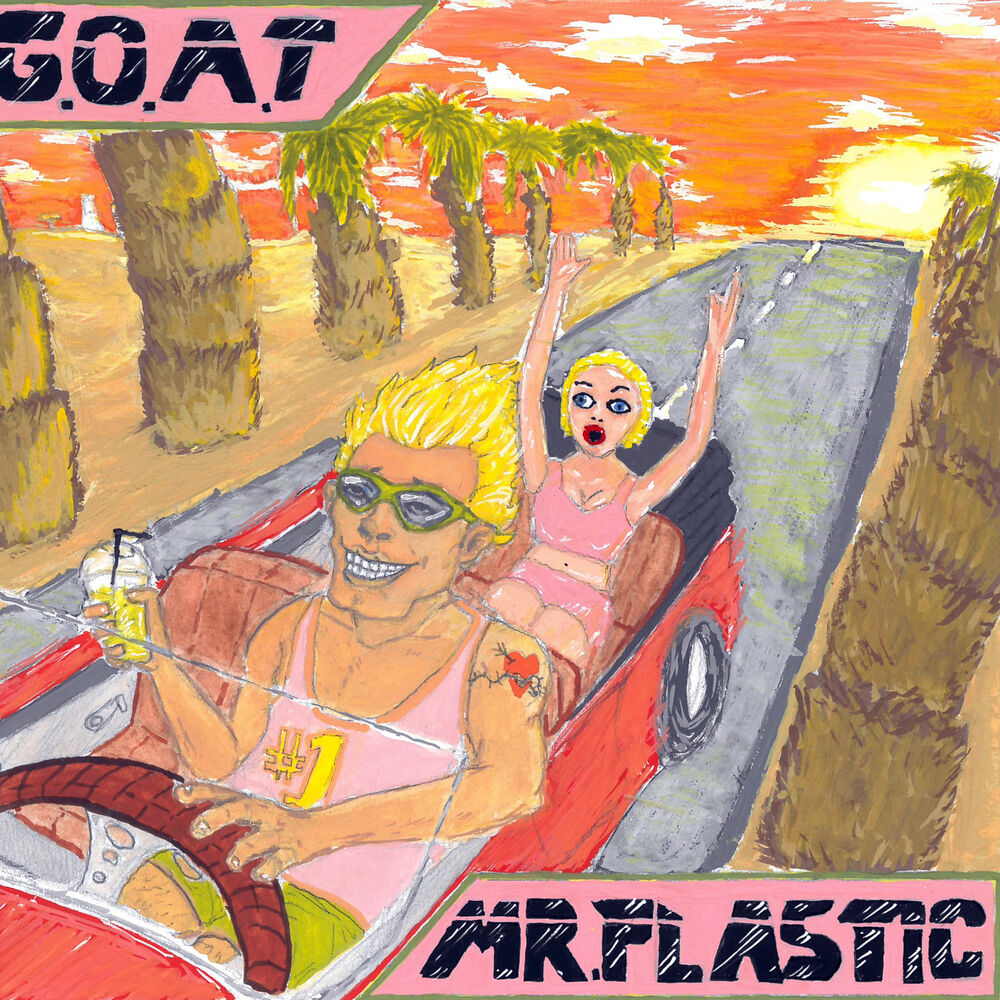Picture of Mr.Plastic