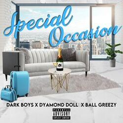Cover of Special Occasion