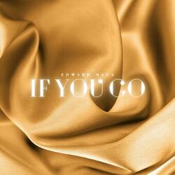 Cover of If You Go