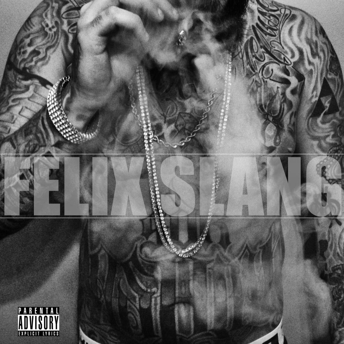 Album cover of Felix Slang