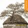 String Quartet No. 13 in B-Flat Major, Op. 130: II. Presto