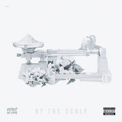 Cover of By the Scale
