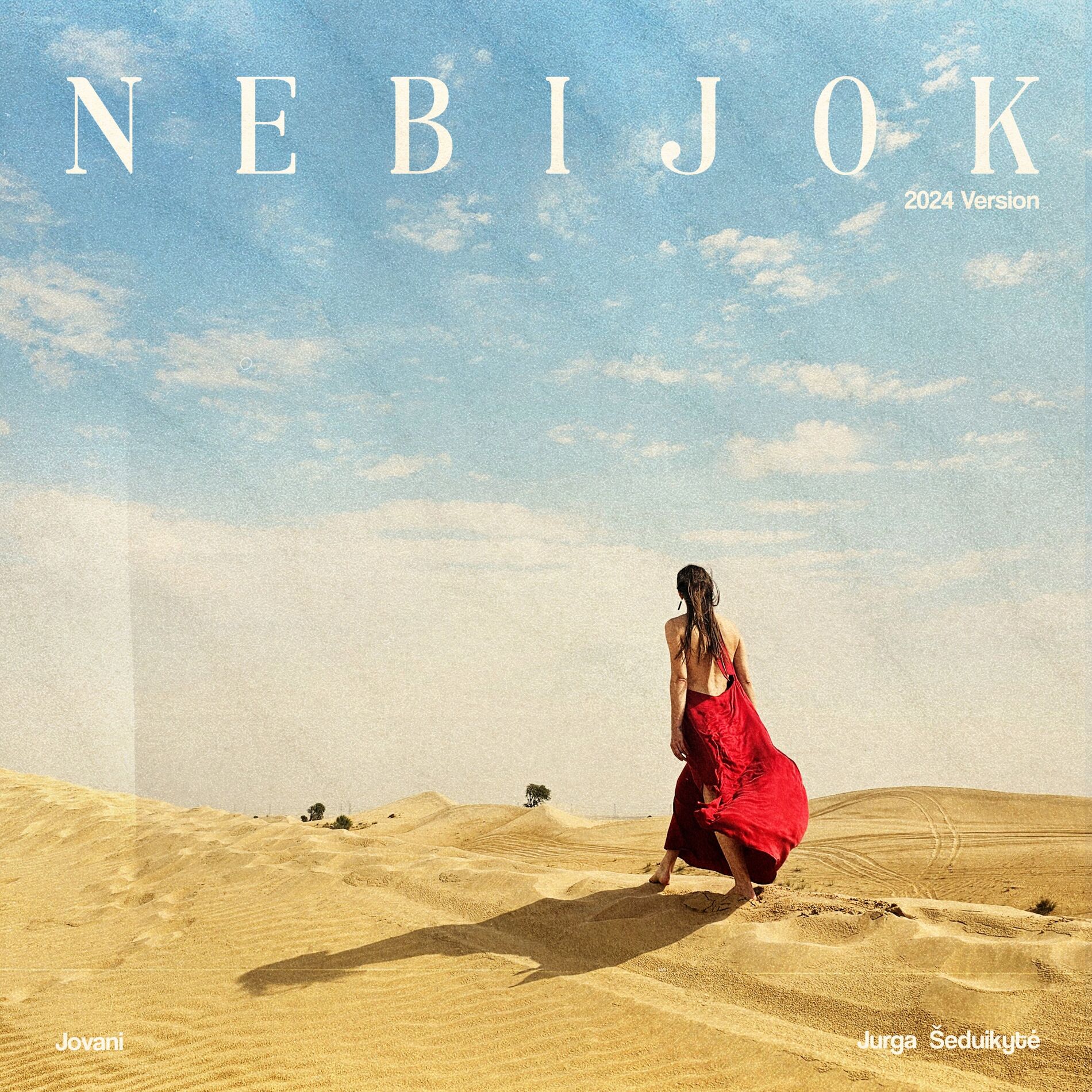 Album cover of Nebijok