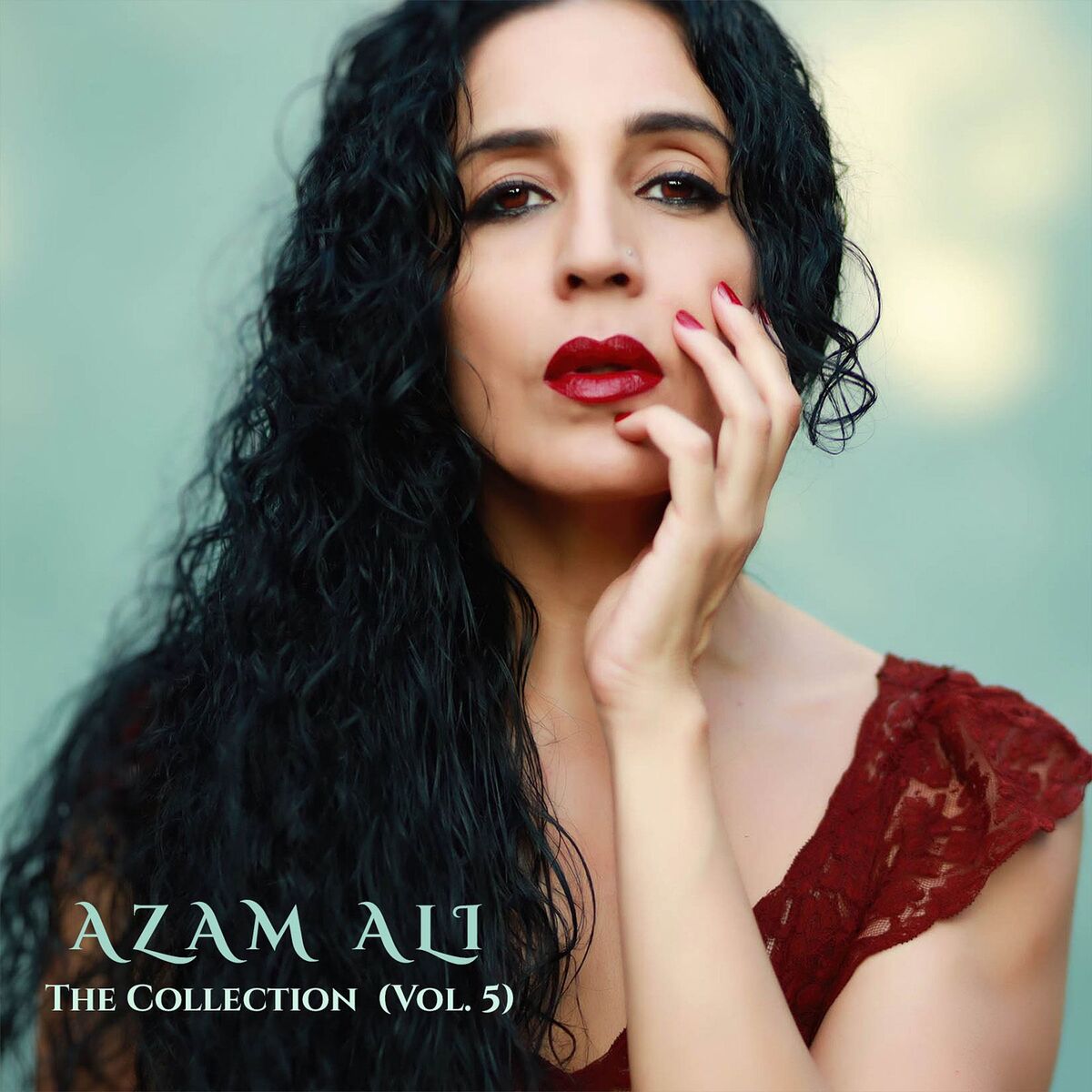 Album cover of The Collection (Vol. 5)