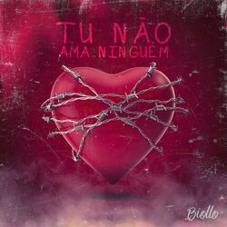Cover of Tu Não Ama Ninguém