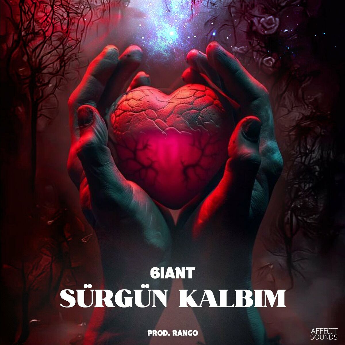 Album cover of Sürgün Kalbim