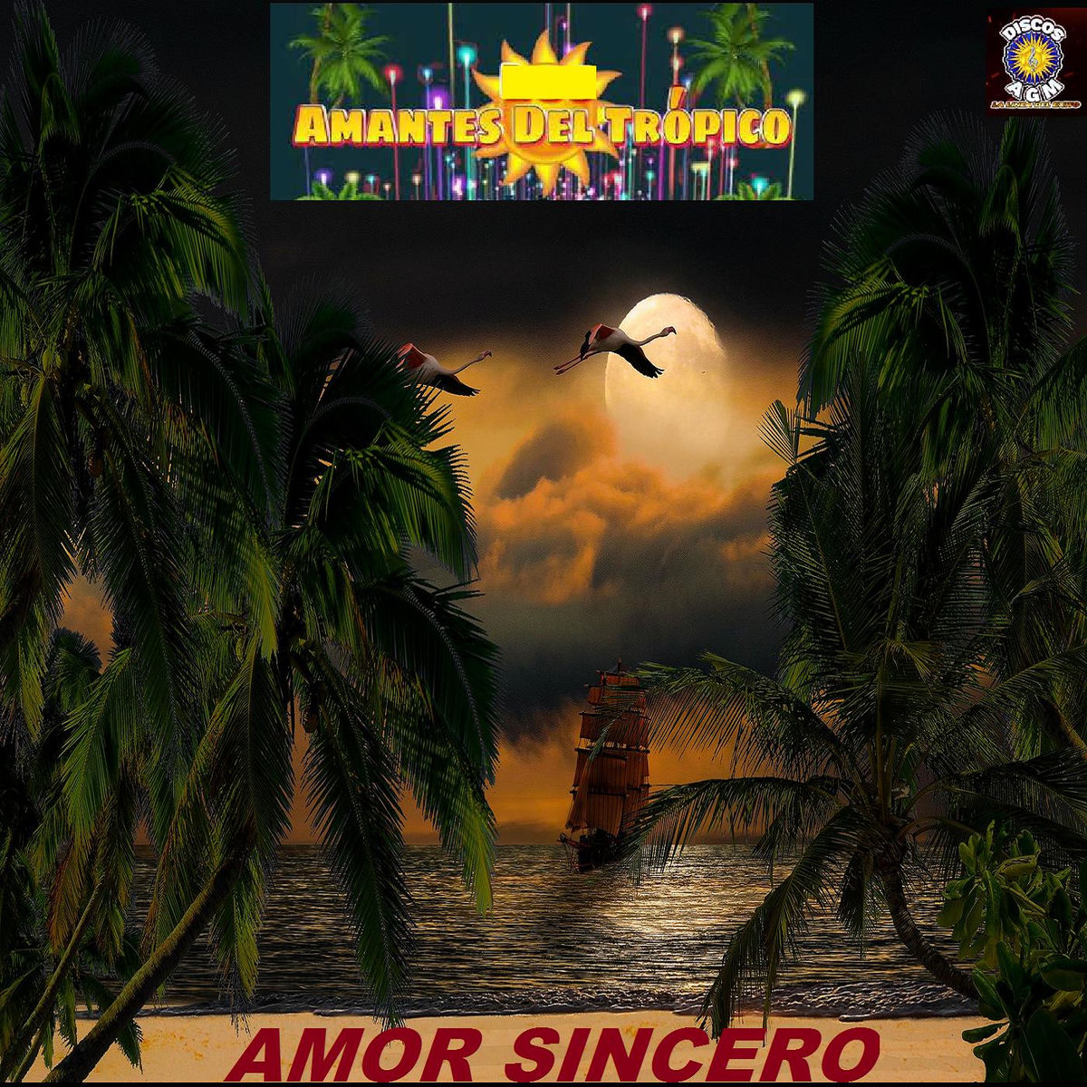 Album cover of Amor Sincero