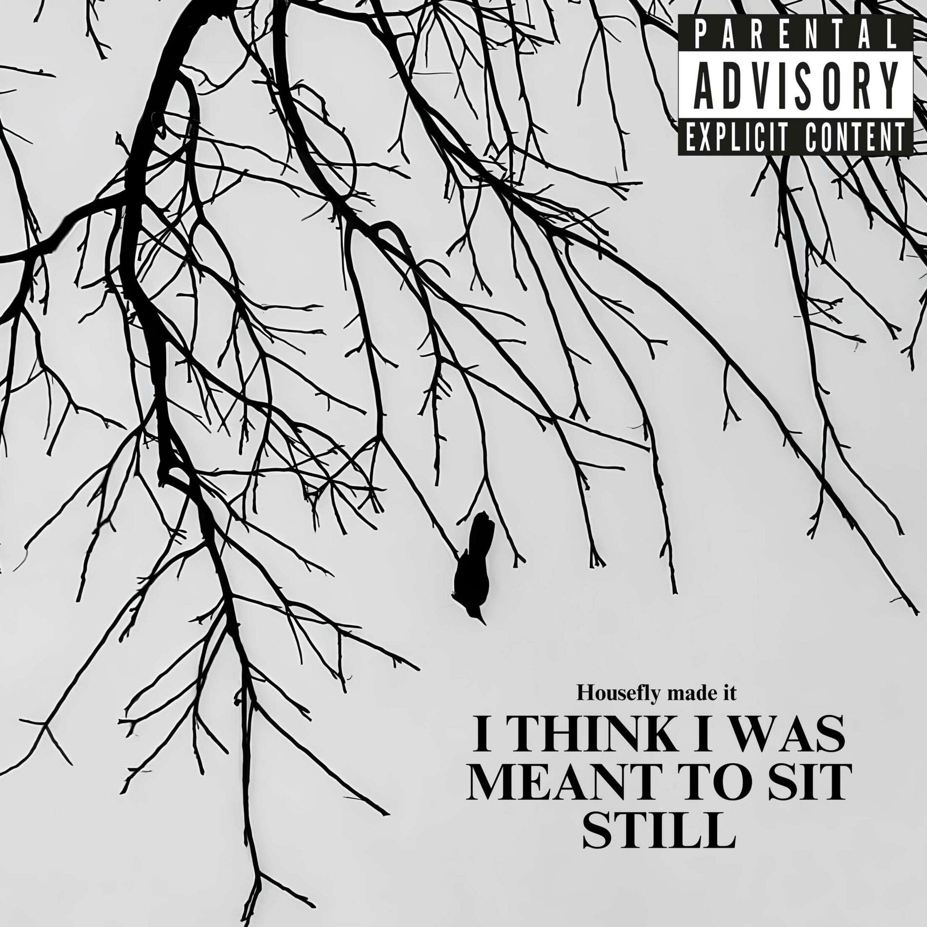 Album cover of What im here for (feat. Ganja)