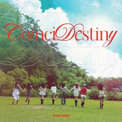 Cover of CoinciDestiny