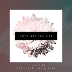 Cover of Anywhere You Like