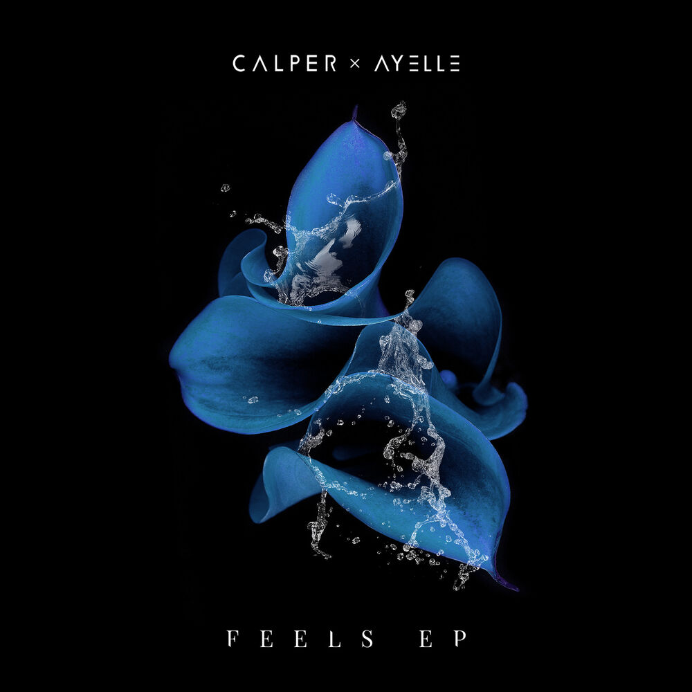 Picture of Feels - EP