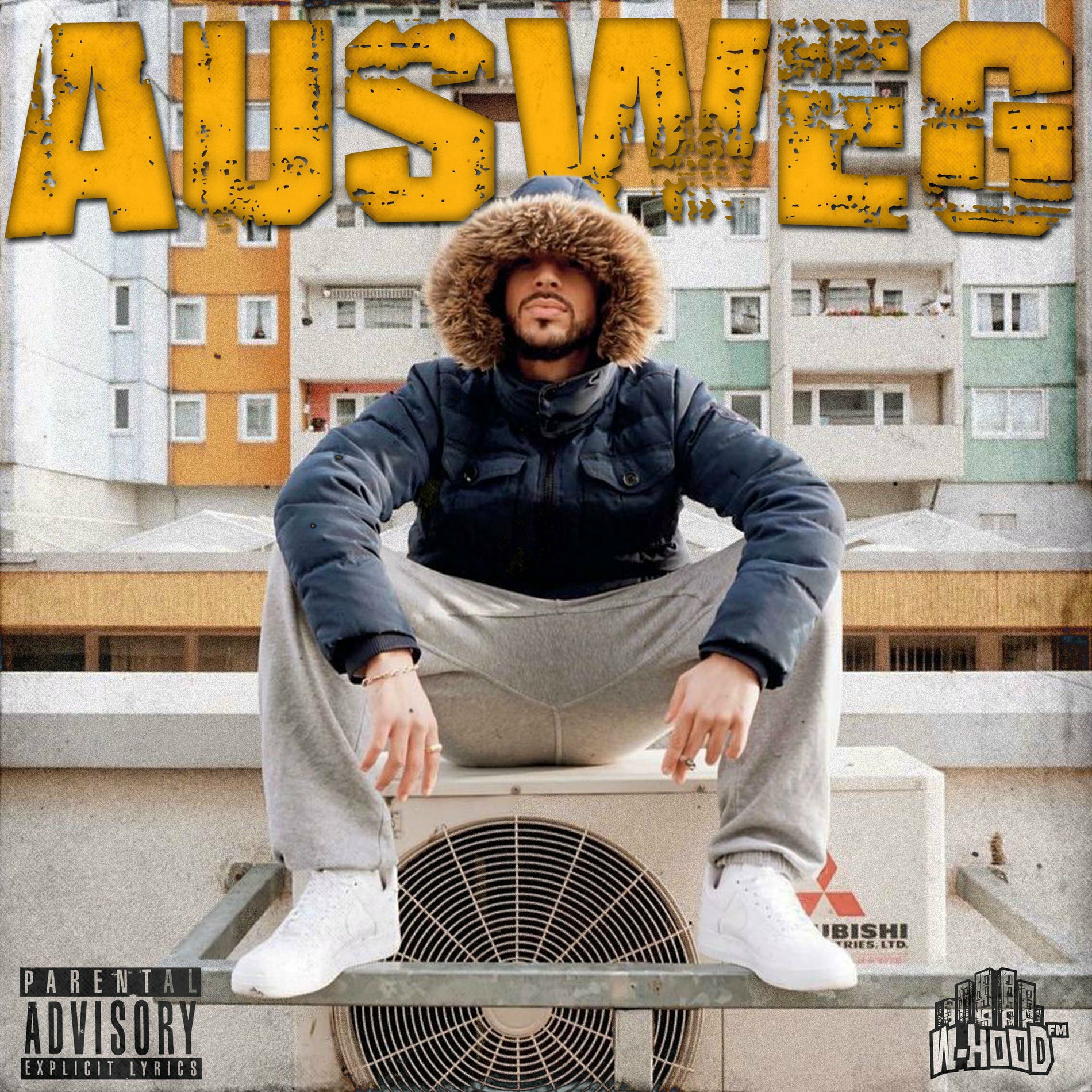 Album cover of Ausweg