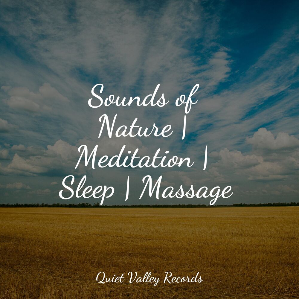 Picture of Sounds of Nature | Meditation | Sleep | Massage