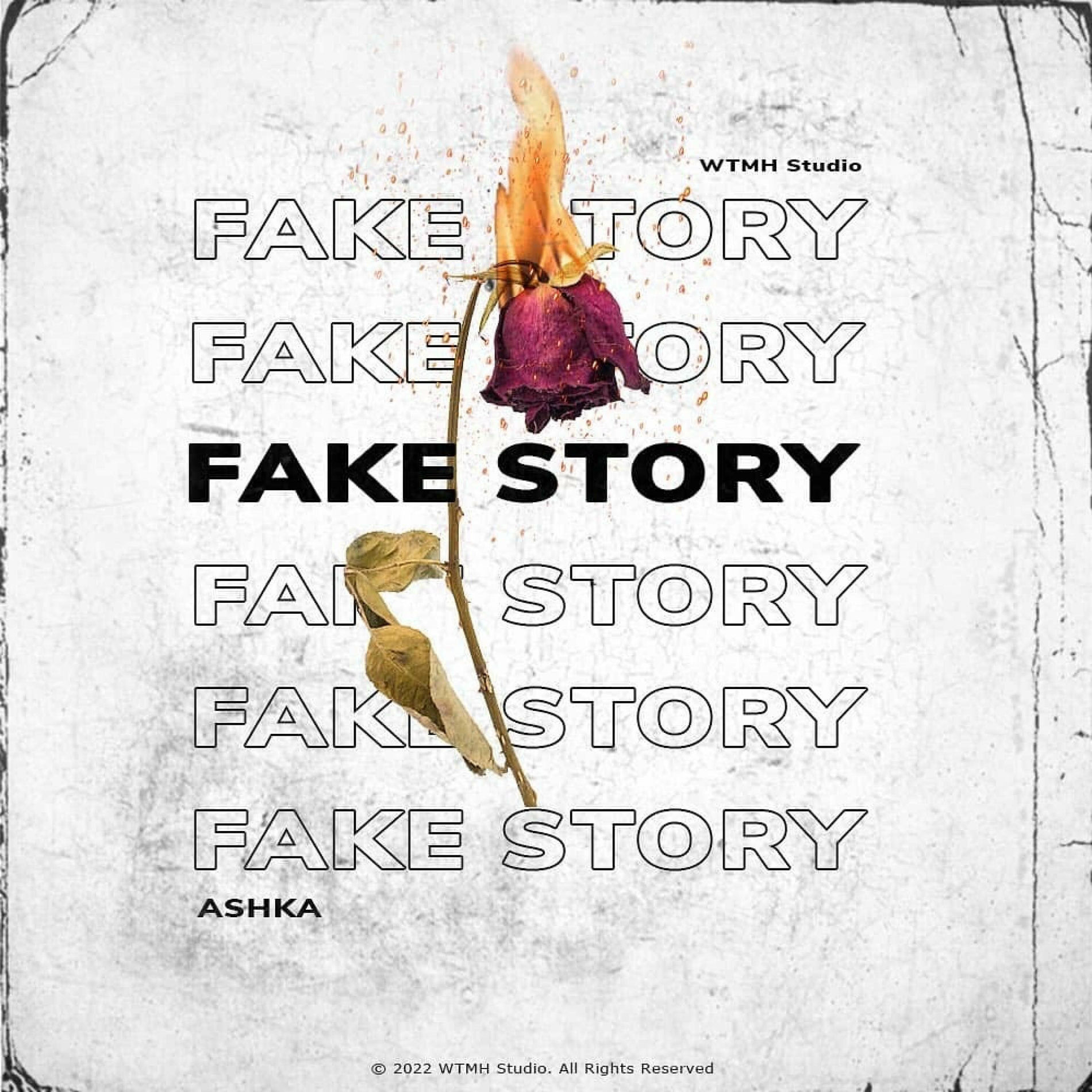 Album cover of FAKE STORY